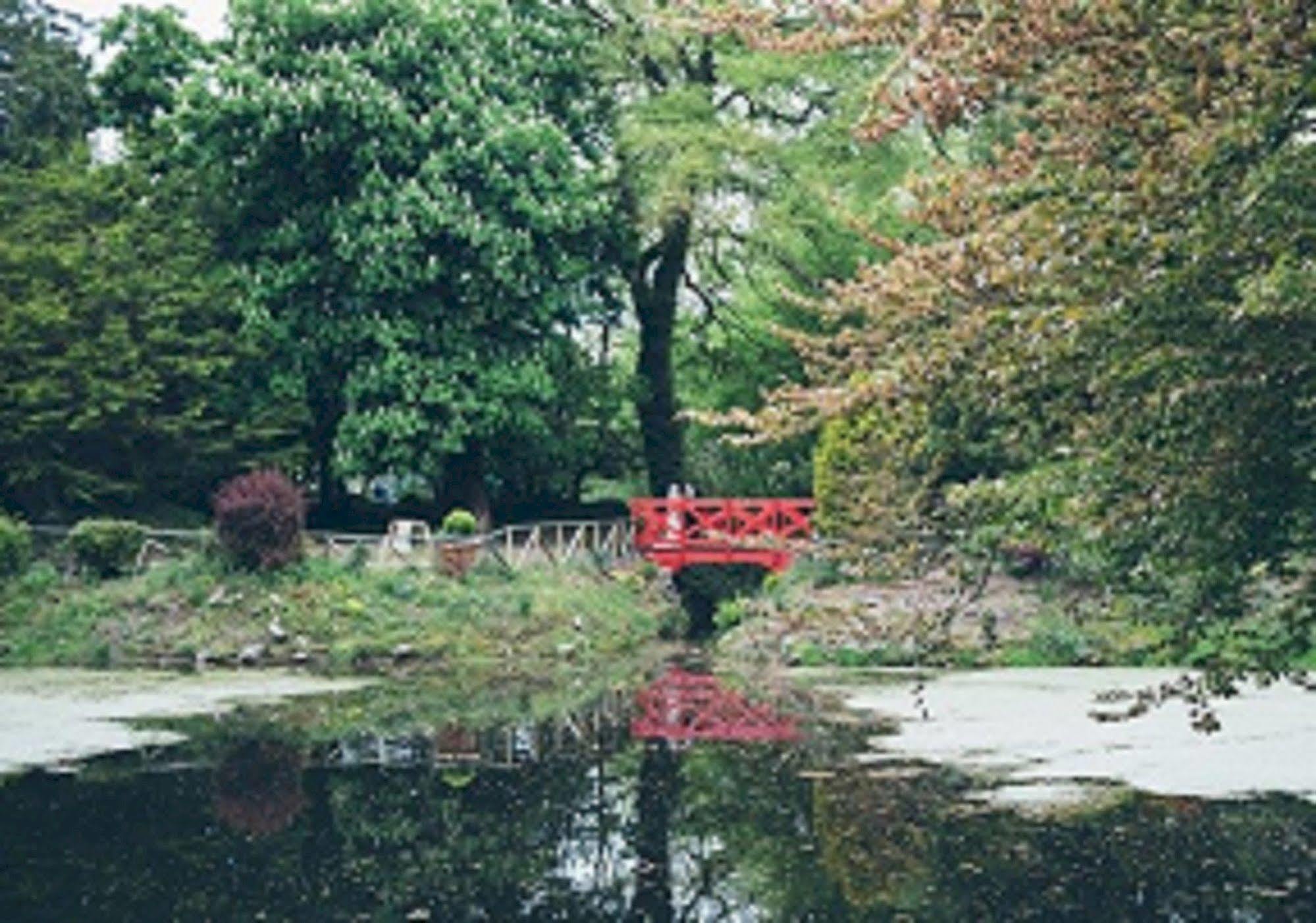Breaffy Woods Hotel 캐슬바 외부 사진